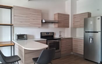 Rento Apartamento en zona 14 Ref-4107