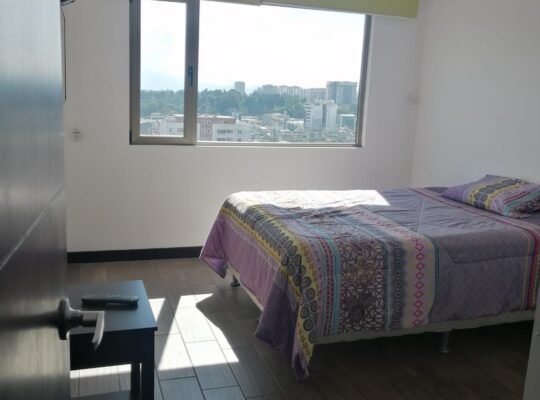 Rento Apartamento amueblado zona 10 Ref-4097